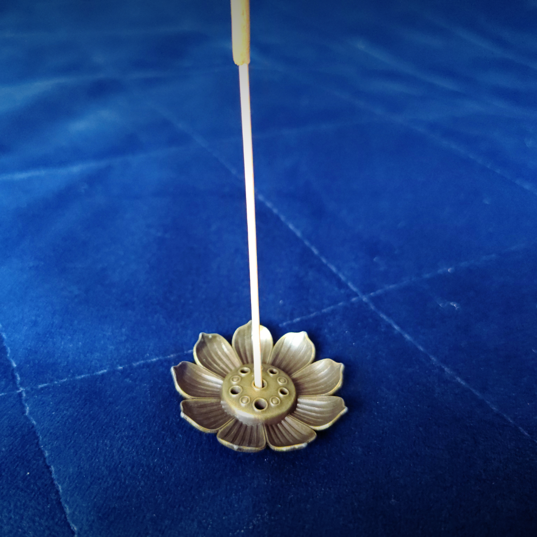 LOTUS S