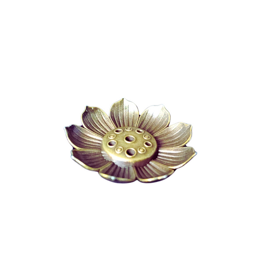 LOTUS S